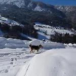 Panzió Du Fraizier