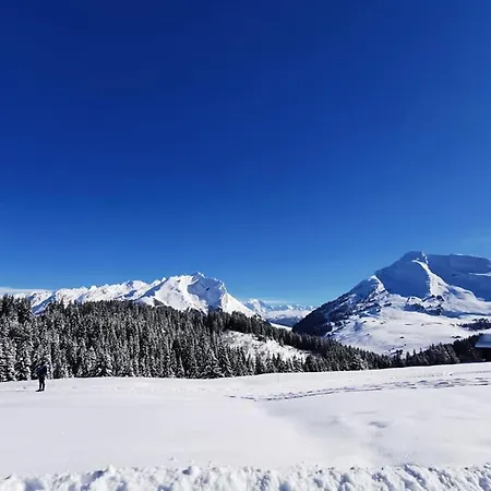 Du Fraizier *